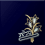 Click to see enlargement of TS-27 Classic Talis Bag