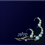 Click to see enlargement of TS-29 Classic Talis Bag